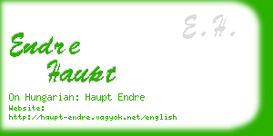 endre haupt business card